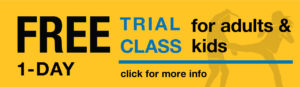 Fre-Trial-Krav-Maga